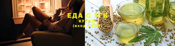 мдпв Елабуга