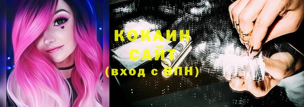 мдпв Елабуга