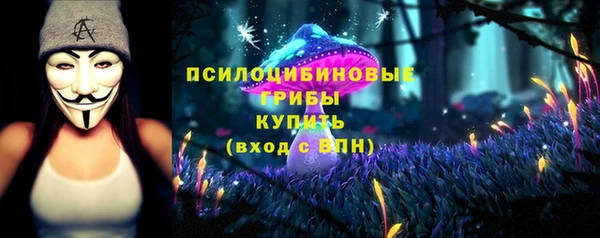 винт Баксан