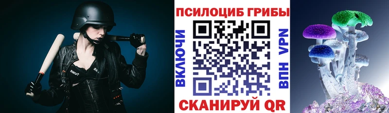 хочу наркоту  Шлиссельбург  мега ONION  Псилоцибиновые грибы Psilocybe 